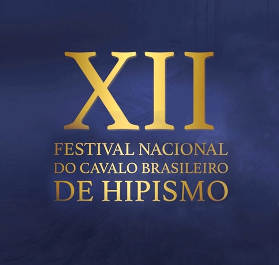 Outros Resultados do Haras Transwaal no Festival do Brasileiro de Hipismo 2018