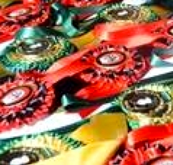 MAIS UM PÓDIO PARA TRANSWAAAL HONNETE DE MUZE