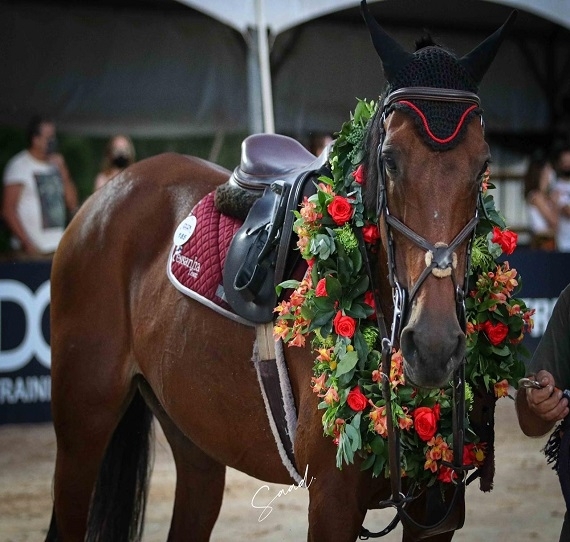 Aposentadoria Cerise de Muze
