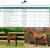 Avó materna, da nossa potra FILY TW é número 1 no ranking de melhores matrizes do mundo. 