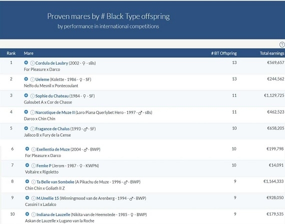 Matrizes do Haras Transwaal estão entre as melhores linhagens de matrizes do mundo!