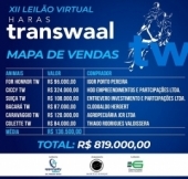 Resultado XII leilão virtual Haras Transwaal