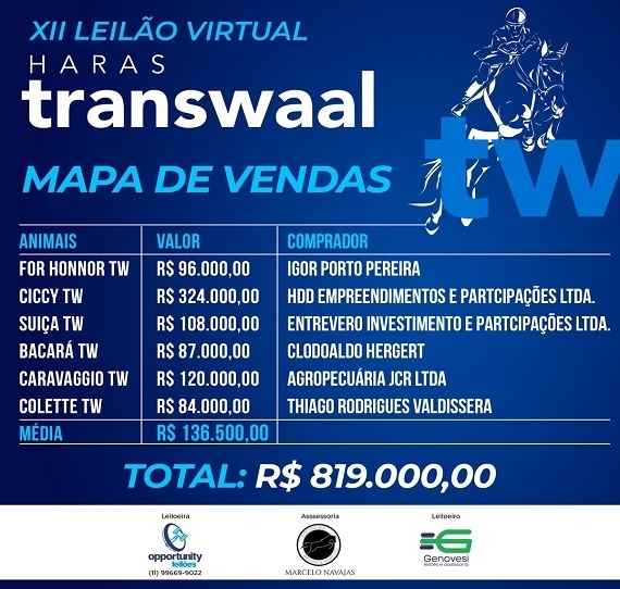 Resultado XII leilão virtual Haras Transwaal