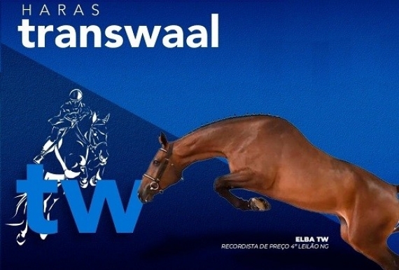 Mais um recorde em preço de vendas!