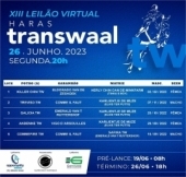 XIII Leilão Virtual Haras Transwaal