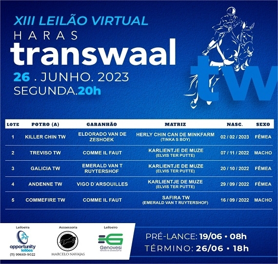 XIII Leilão Virtual Haras Transwaal