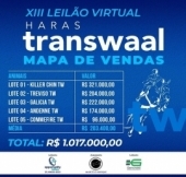 Grande fechamento do nosso XIII leilão virtual