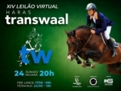 XIV LEILÃO VIRTUAL HARAS TRANSWAAL