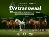 XV LEILÃO VIRTUAL HARAS TRANSWAAL