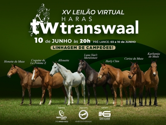 XV LEILÃO VIRTUAL HARAS TRANSWAAL