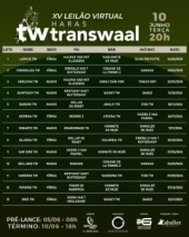 Lotes do XV leilão virtual