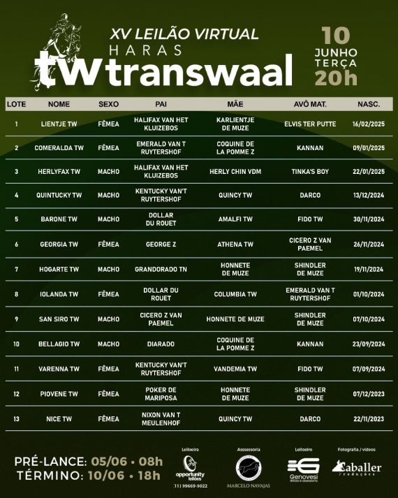 Lotes do XV leilão virtual