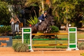 Zermatt TW - Campeão Paulista Sênior Especial - 1,30/1,35m