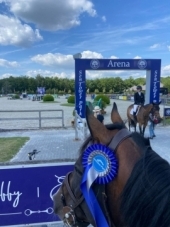 Fido TW - Sentower Park