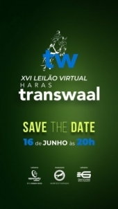 XVI LEILÃO VIRTUAL HARAS TRANSWAAL